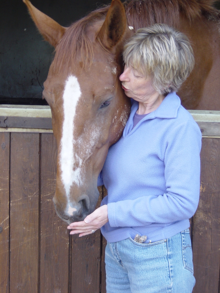 Giving equine healing