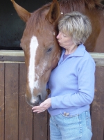 Equine healing